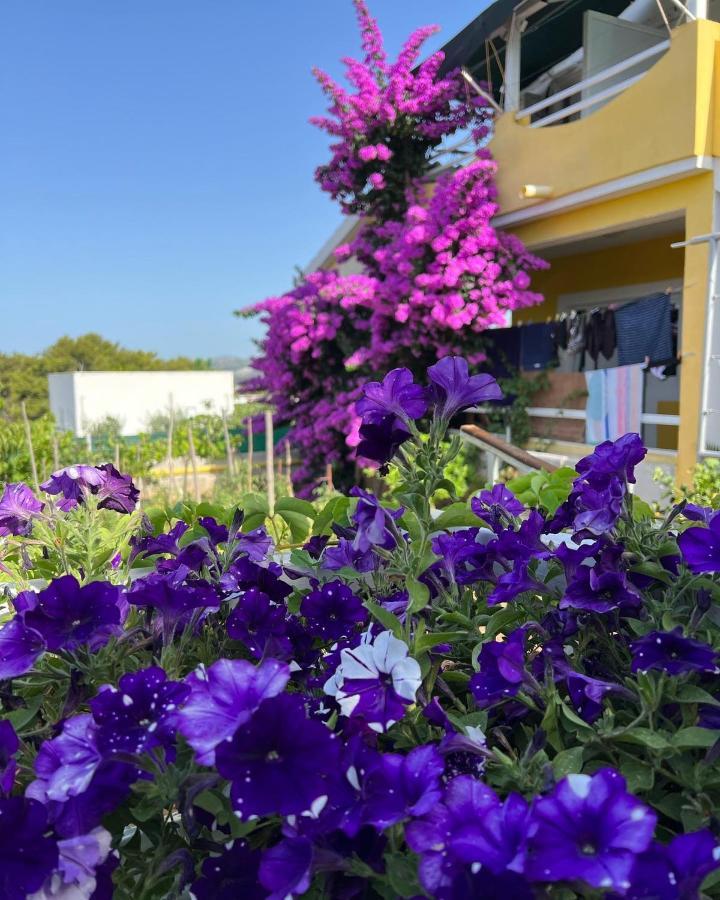 Apartment Vujcic Donji Okrug  ภายนอก รูปภาพ